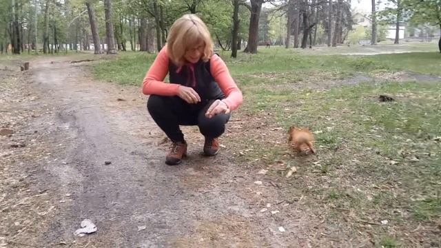 Белки. Секреты дрессировки. смотреть онлайн