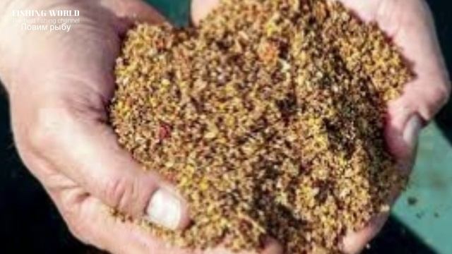 Не знаешь чем прикормить рыбу в марте? Эта Прикормка для рыбалки в марте лучший вариант!
