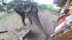 Вьетнам. Нячанг. Даклак c вьетами. Катаемся на слоне по реке.