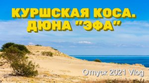 Дюна "Эфа". Кушская коса. Отпуск 2021. Калининград.