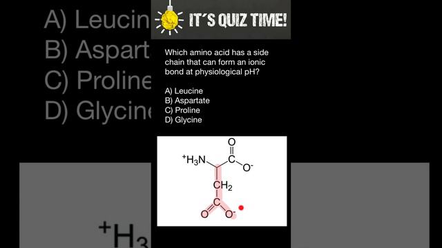 Аминокислоты вариант 1. Аминокислоты вариант 1. Аминокислоты вариант 1. Гистидин трифосфат. Классификация альфа аминокислот.
