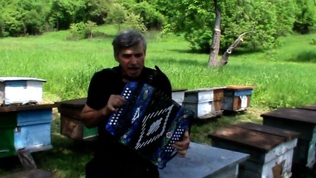 Больничный лист смотреть онлайн