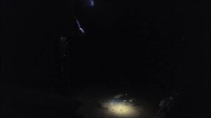 Открытие сезона ловли Налима.Осень 2019. р. Луга.