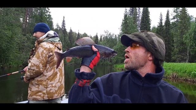 Ловля Хариуса на лесной речке/ р.Кепина