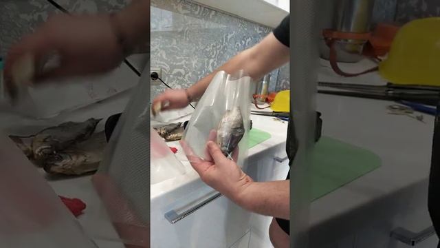 Вакууматор для продуктов, рыбы. Как сохранить таранку. смотреть онлайн