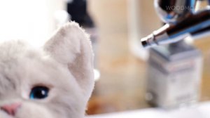 DIY CAT soft toy by a master ? Relaxing ASMR Craft. DIY stuffed cat toy