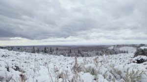 RANGER Country USA - Pinedale, WY | Polaris Off-Road Vehicles