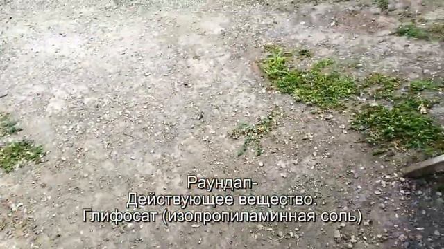 Гербицид шквал вк