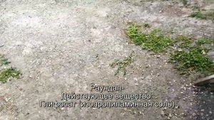 Гербицид шквал вк