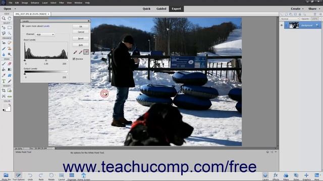 Learn How to Use Levels in Adobe Photoshop Elements 2022: A Training Tutorial смотреть онлайн