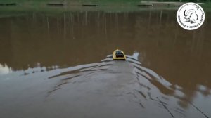 Карповая ловля на водоеме.  Forest Fishing