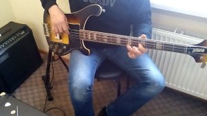 Jolana D-Bass