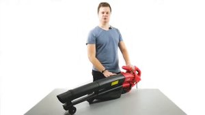 WORTEX BV 1325 Воздуходувка электрическая