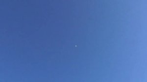 Ленинаканский на своей игре. Таджикский и ленинаканский зажигают. Бойные голуби