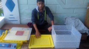 Китайский инкубатор   Ответы на вопросы   Подводим итоги