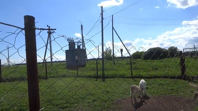 Гости из Самары Оля Стрелка. Подарки. Ослик. Козы смотреть онлайн