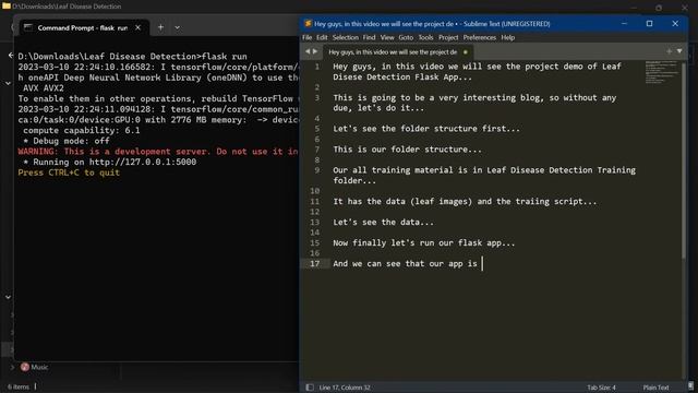 Leaf Disease Detection Flask App using Python - Advanced Python Project - with source code