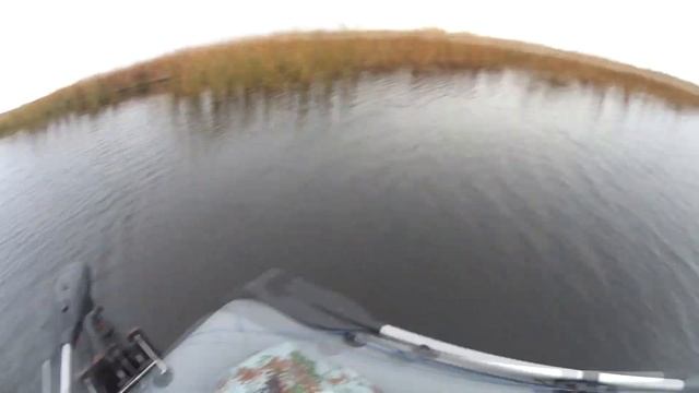 Джеркбейт на сломе сезонов. #jerkbait#pike#volgaspintv#рыбалканащуку#осеннийжор #salmo