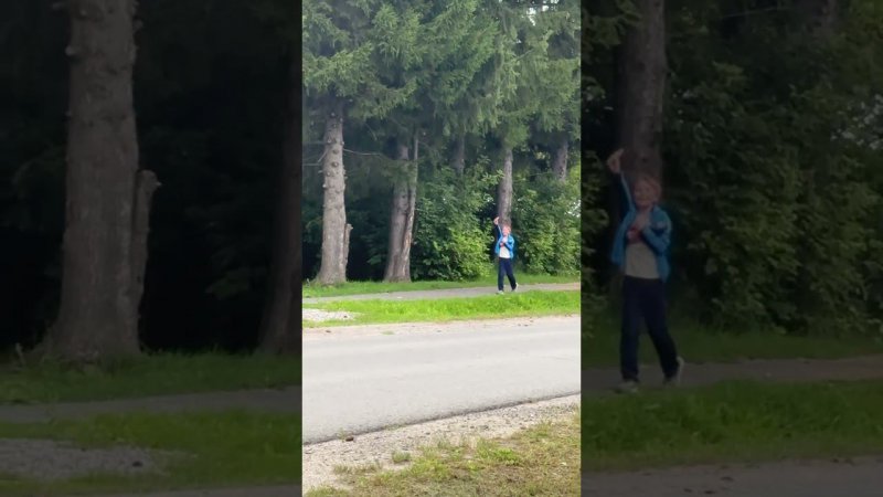 Лето в деревне