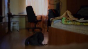 Вызов Духов вызов мясника 2 раз