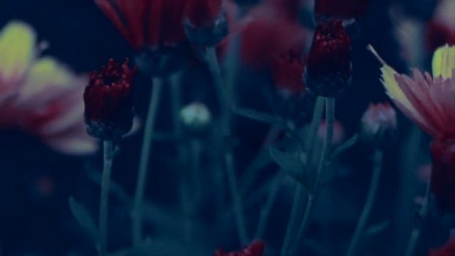 Fkxt77 - She Loves Me #электроннаямузыка #инструментальнаямузыка #красиваямузыка #эмбиент