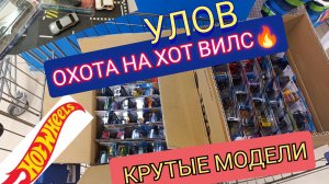 ОХОТА НА HOT WHEELS.УЛОВ