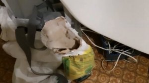 Перетяжка потолка автомобиля форд потолочной тканью на поролоне.