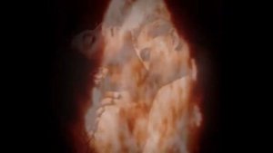 Adriano Celentano - Soli (перевод субтитры)