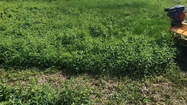 поменял ВРАЩЕНИЕ вала на мульчере ( вот что получилось ) #Фсёпро100 смотреть онлайн