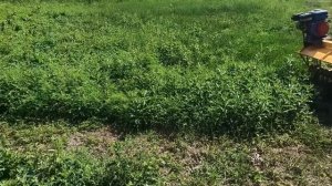 поменял ВРАЩЕНИЕ вала на мульчере ( вот что получилось ) #Фсёпро100