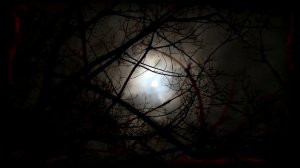 КАК Я НЕ СТАЛА ВЕДЬМОЙ | Страшные истории | Мистические истории | Дневник историй | Ведьма