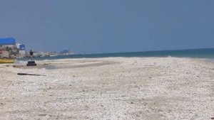 Кирилловка   работа