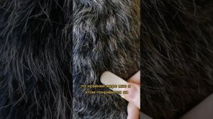 Триммингую камнем. Роллинг
