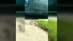 Стрельба в колледже, Керчь