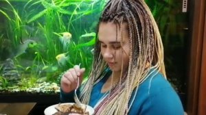 как готовить гриб зонтик лечебные свойства  гриба зонтика