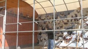 Памяти Мысютина Юрия Ивановича