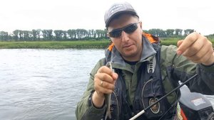 6 видов рыб за утро! Отличная рыбалка на р.Томь на спиннинг.