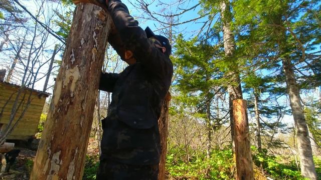 ДОМ ПОД ЗЕМЛЕЙ ЗАЦВЕЛ | ЗЕМЛЯНКА - СТРОИТЕЛЬСТСВО В ЛЕСУ | БАНЯ В ТАЙГЕ СВОИМИ РУКАМИ смотреть онлайн