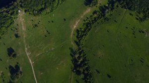 г.Сочи, село Красная Воля (Хоста). (Смотреть, в высоком Качестве).