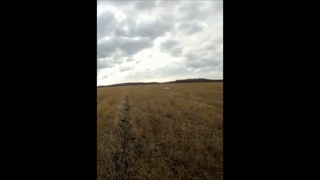 * Село Шаховское, Танюшкино хозяйство!* смотреть онлайн