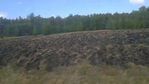 VLOG едем на озеро Миассовое💋
