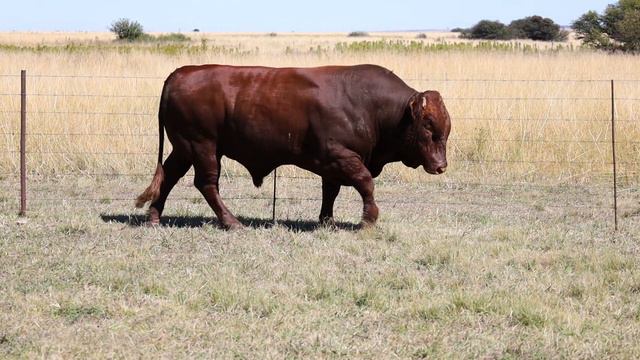 LOT 34 - NFS 20-017 смотреть онлайн