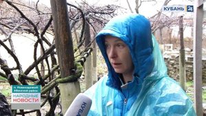 Новосадовый | Народные новости