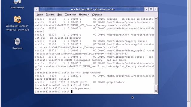 Основы администрирования Баз Данных Oracle. Часть 2 смотреть онлайн