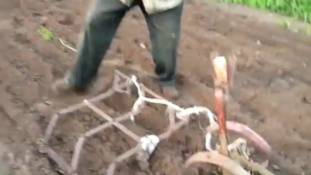 С утра во дворе появился конь и тут началась настоящая деревенская жизнь, не для горожанина... смотреть онлайн