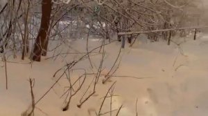 Когда февраль как господин