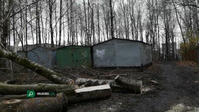 Вышний Волочёк ещё не оправился от урагана