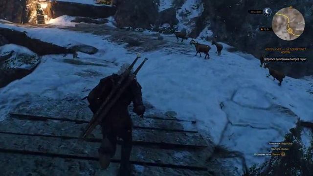 Ведьмак 3 Дикая Охота Король умер да здраствует король Серия 30 Польская озвучка смотреть онлайн