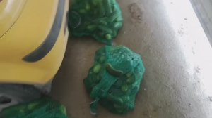 Огуречная диета для кур, уток, гусей и индюков 🥒🥒🥒