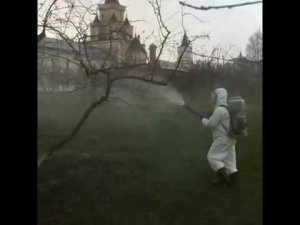 Обработка от грибных заболеваний